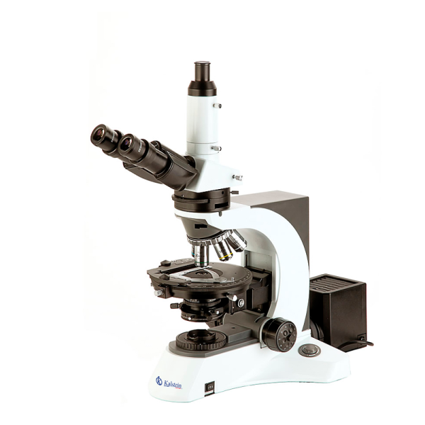 Polarizing Microscope YR0261