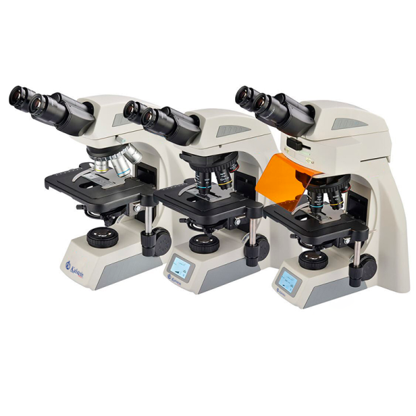 Laboratory Biological Microscope YR0267A - YR0267B - Image 2