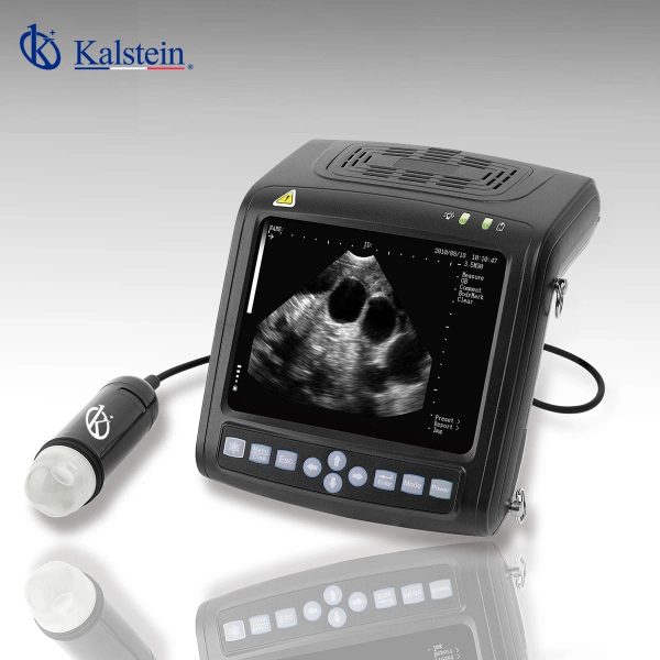 Wrist Veterinary Ultrasound YR06144